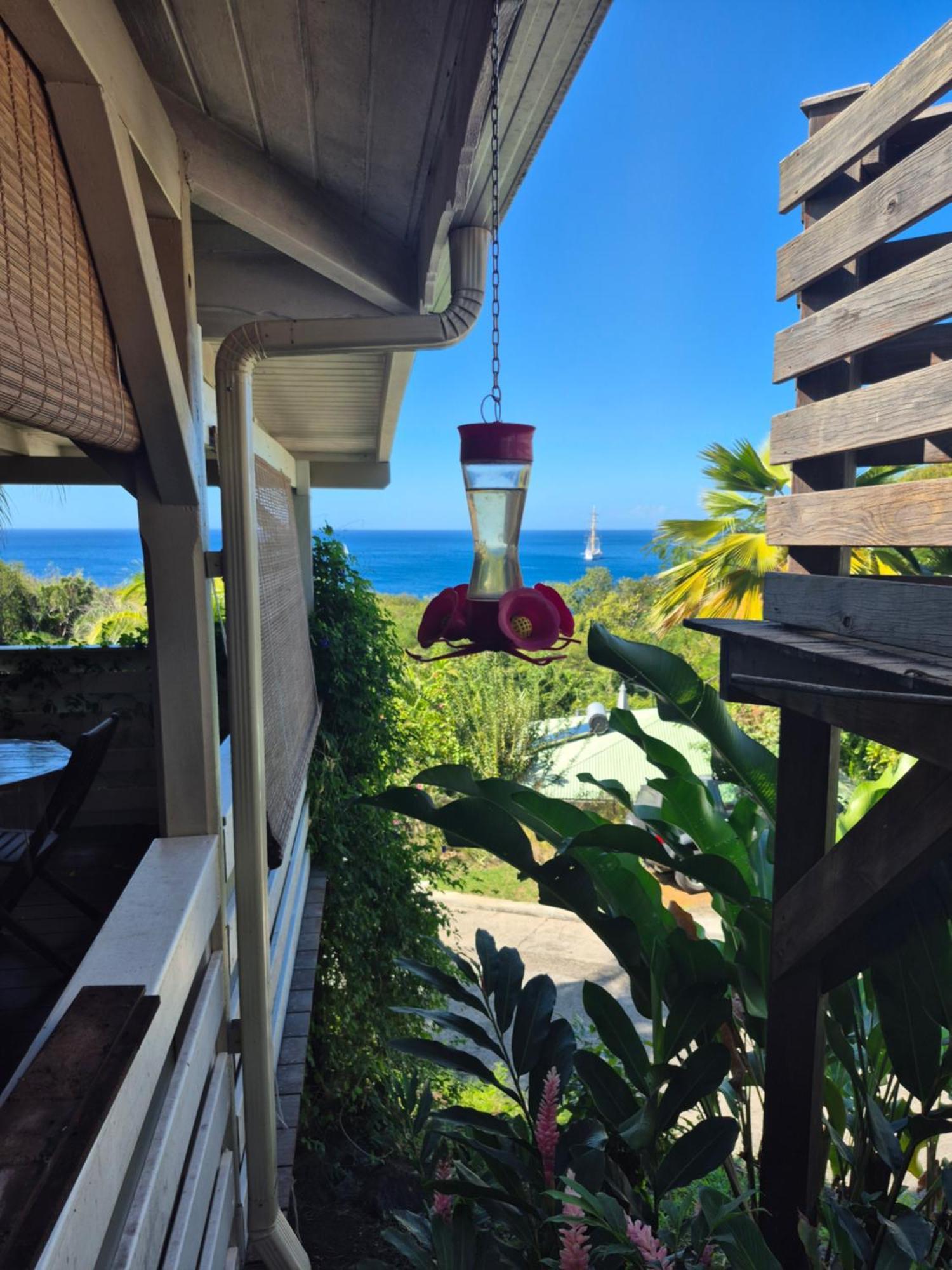 Villa Cannelle, Piscine, Vue Mer 德赛 外观 照片